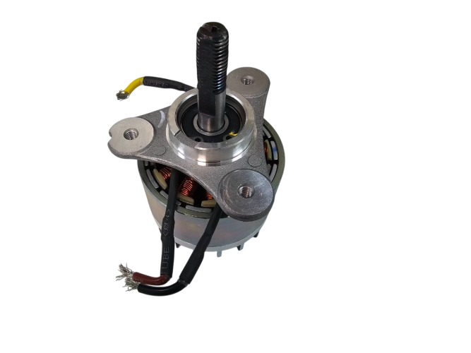 Мотор в сборе для 2108407 60В Триммер GD60BCB с велосипедной ручкой P/N: R0101271-00 P/N: R0101271-00
